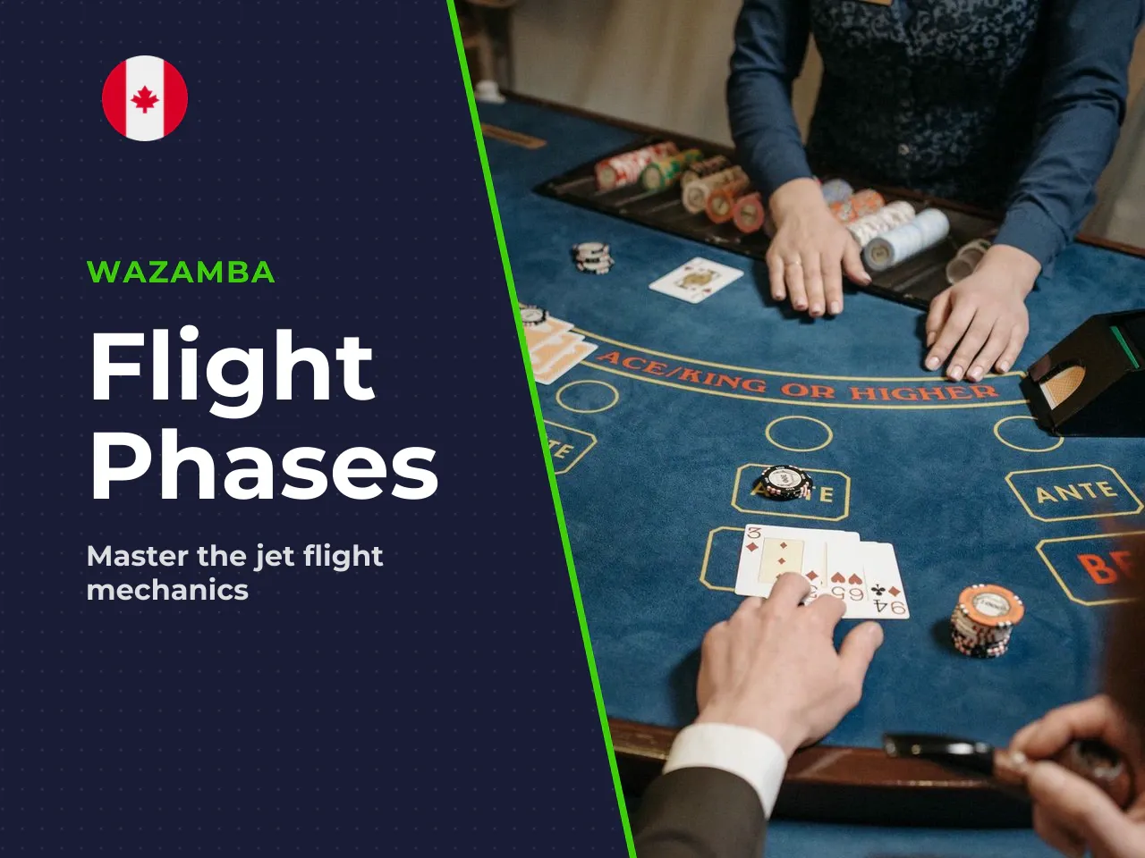 Visual phases of the flight. The