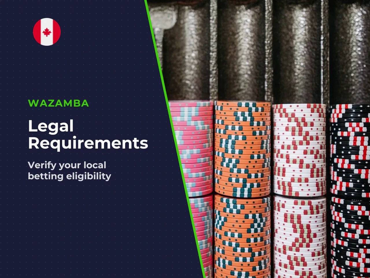 8.4. Legal Disclaimers and Age Requirements