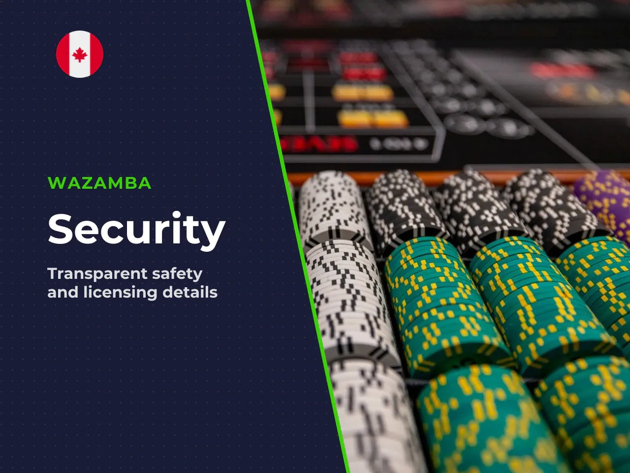 19 Licence, Security, and Terms Verification