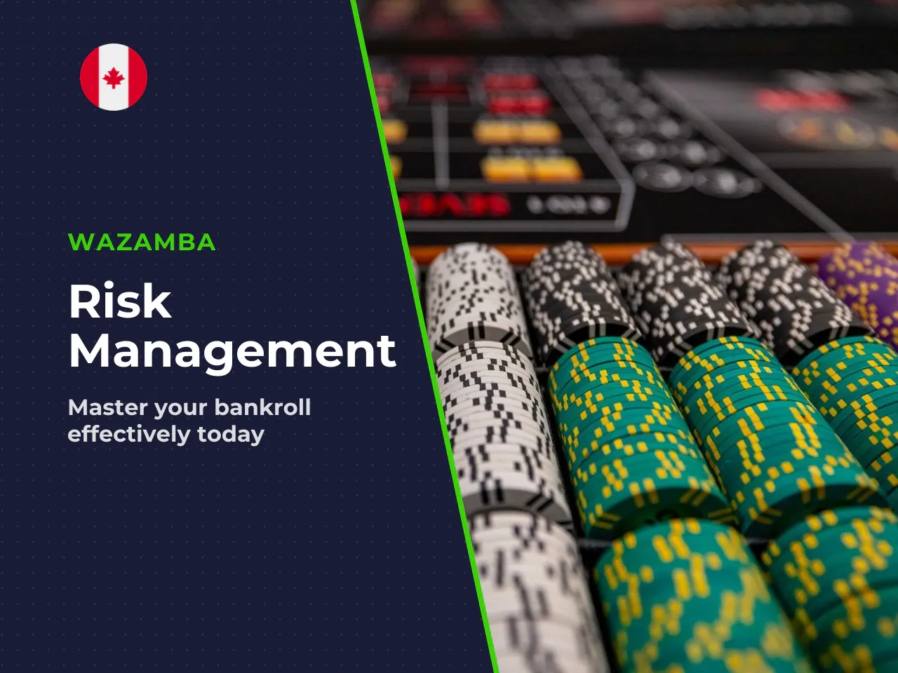 Risk management in Spaceman rests on