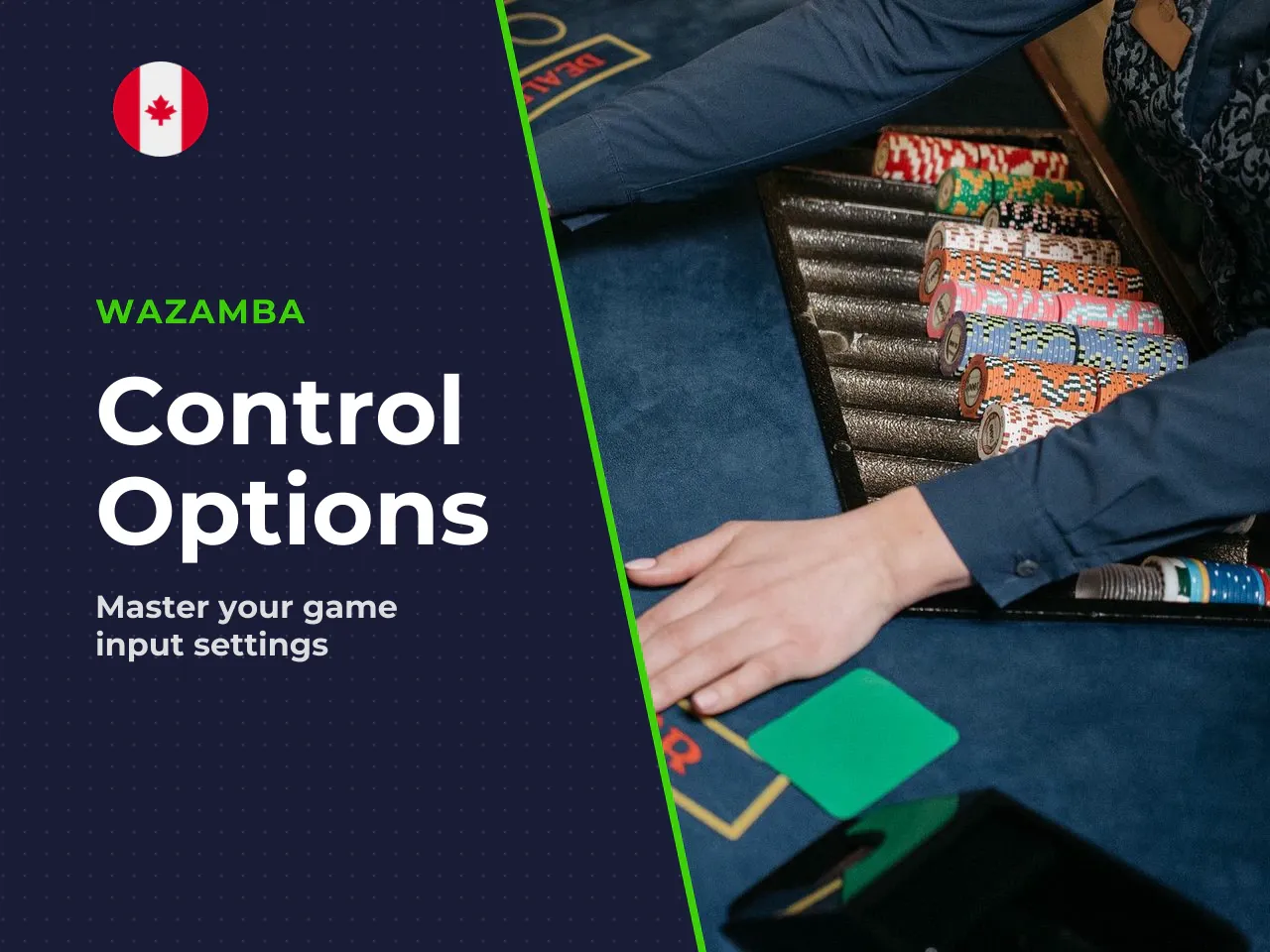 Control options. SmartSoft-powered platforms usually support