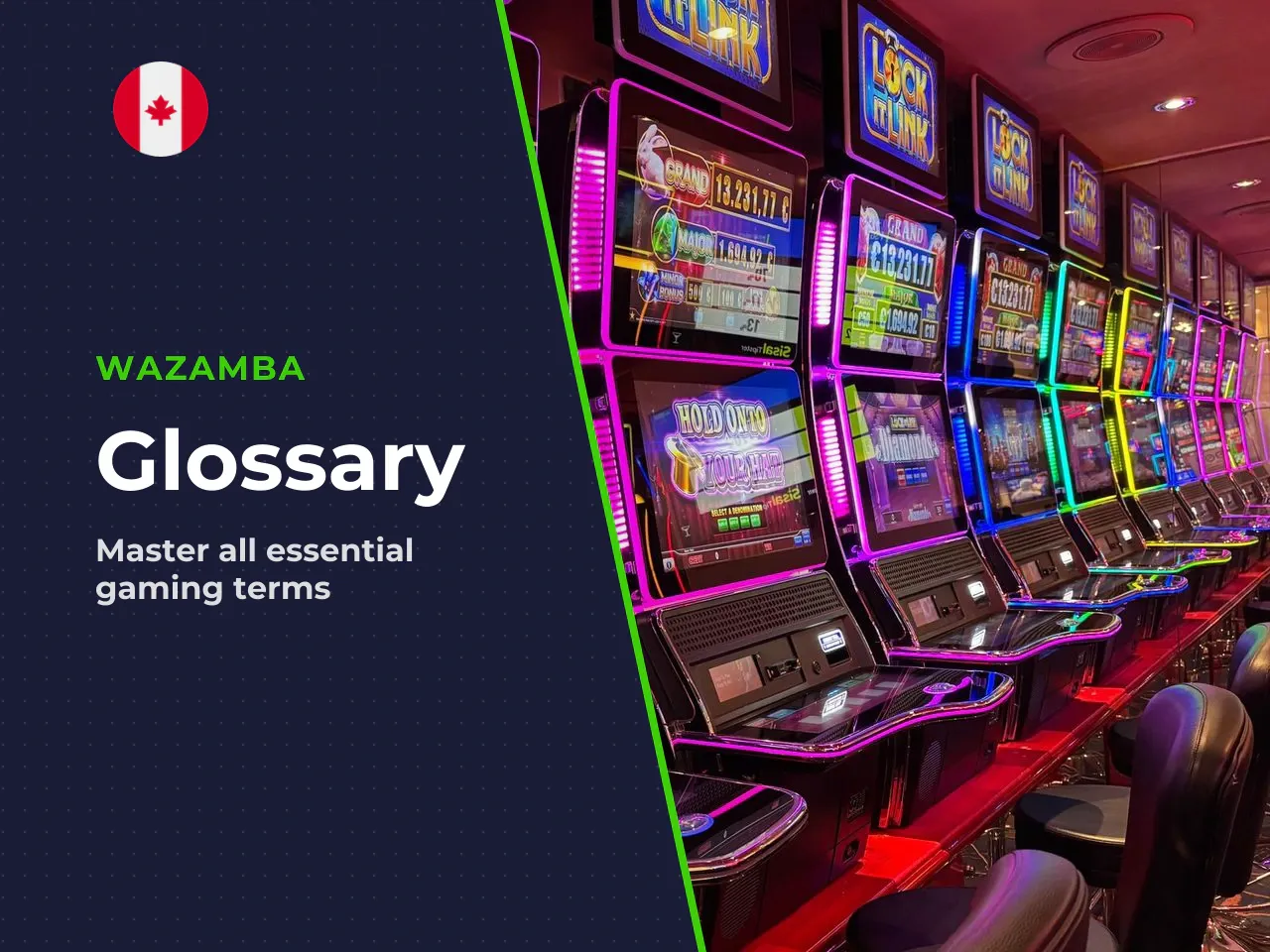Glossary of Terms